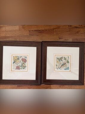 Set of 2 Framed, Signed & Numbered CHARIKLIA ZARRIS Songbird Giclee Prints